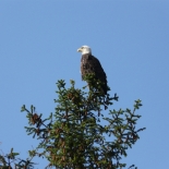 eagles-nest-flash-002