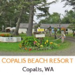 copalis-beach