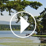 virtual-tour